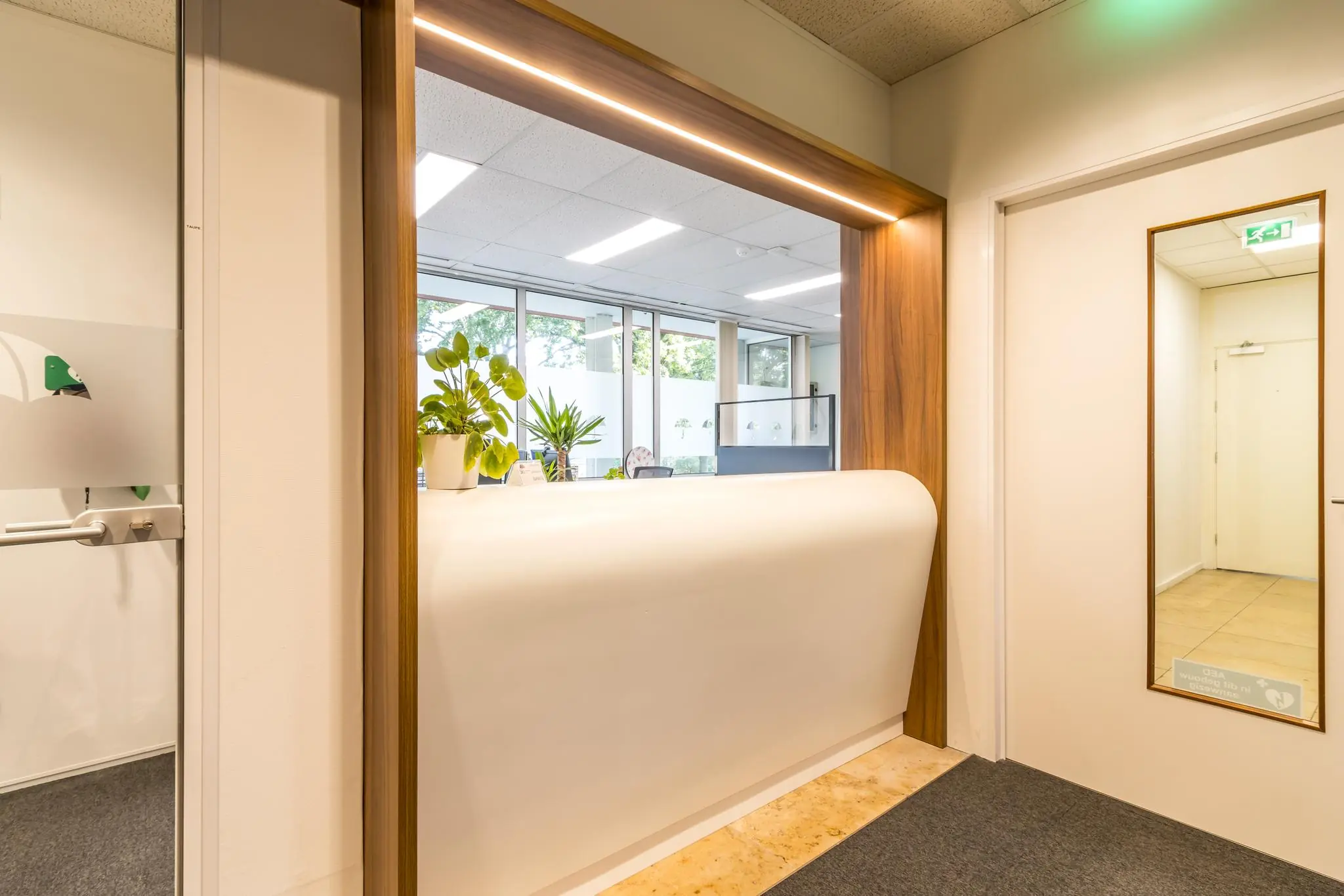 Moderne balie met houten omlijsting en planten in een licht kantoor aan de Jan van Eycklaan.